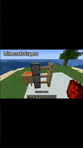 How To Make Automatic Door In Minecraft | Pro Tips & Tricks 🔥 #minecraftproject--- #minecrafttips