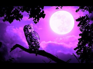 Good Night Music | Soft Calming Sleep Music | 528Hz Healing Deep Sleeping Music | Peaceful Energy