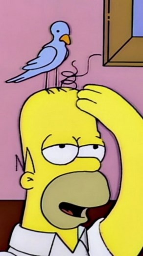 The Simpsons Clips on Instagram: "Homer, there's a bird on your head. Bart Gets an Elephant Season 5, Episode 17 Original Air Date: March 31, 1994"