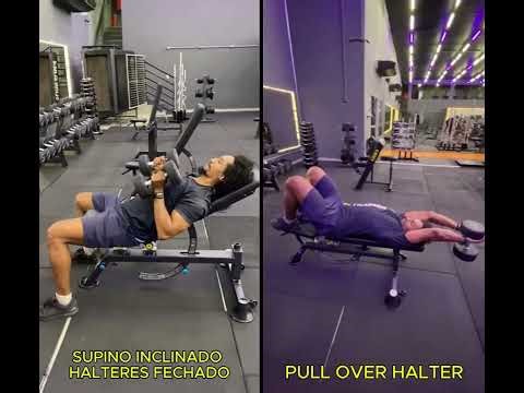 SUPINO INCLINADO HALTERES FECHADO + PULL OVER HALTER