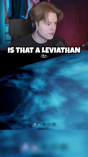 WHAT IS THAT IN THE DISTANCE?!?!?!