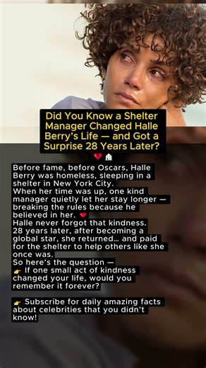 Did You Know a Shelter Manager Changed Halle Berry’s Life — and Got a Surprise 28 Years Later? 💔🏠