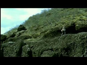 Live - Heaven (2003) | IMVDb