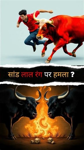 Why do bulls attack the color red 🐂💯 | DKS Informative | #bull #facts #knowledge #shorts