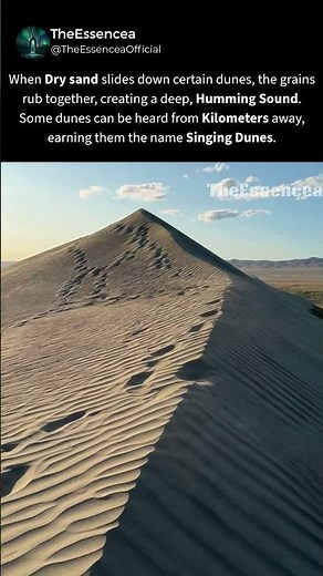 These Sand Dunes Can Sing.