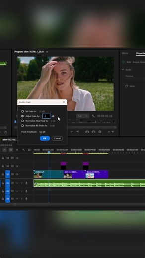 Premiere Pro Audio Guide: Setting Gain, Normalizing & Rubber Band #PremierePro #AudioLevels