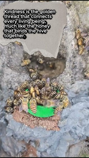 The golden thread. ✨💛