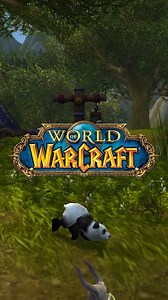 488K views · 5.3K reactions | How to unlock the secret panda transformation in WoW #Warcraft #worldofwarcraft | CodexBro | Facebook