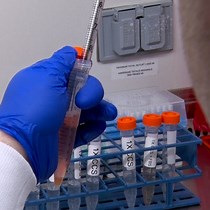 Video: Standardization and Maintenance of 3D Canine Hepatic and Intestinal Organoid Cultures for Use in Biomedical Research