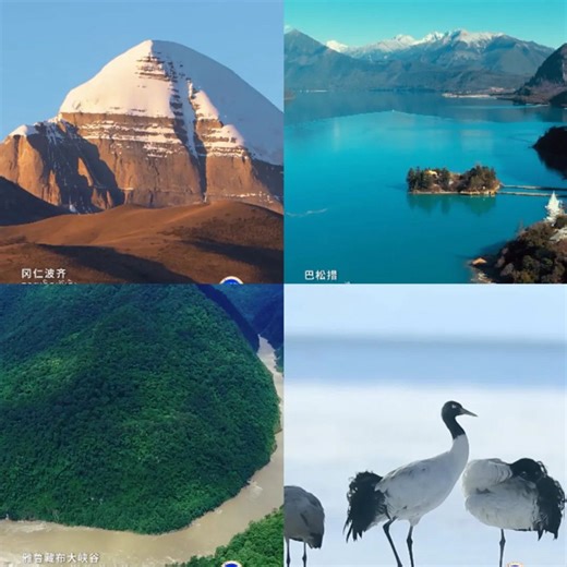 每一帧都可做壁纸！第五届藏博会主题概念片竖版震撼来袭！