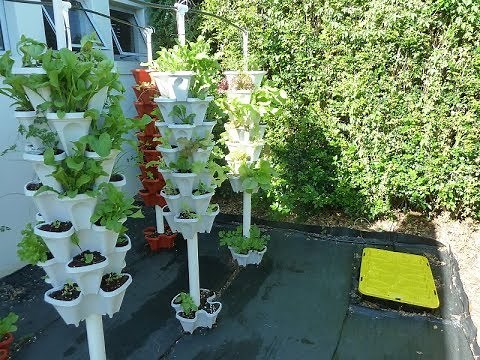 Quick set-up of Mr Stacky Tower Gardens