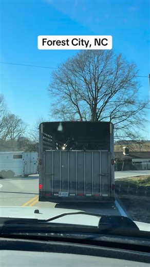 Carriage rides Forest City, NC #carriagerides #christmas | Carolina Carriage Company