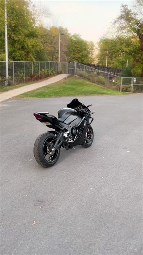 2026: Embracing Spring as the Blackout Ends