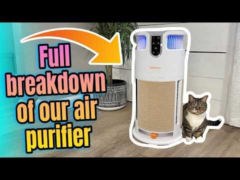 Full setup and Demo of our Meowant Air Purifier! Product Link in description