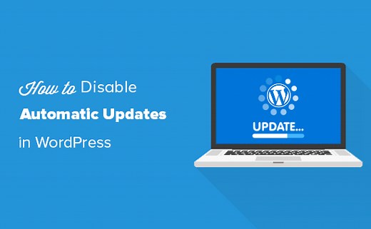 How to Disable Automatic Updates in WordPress (2 Ways)