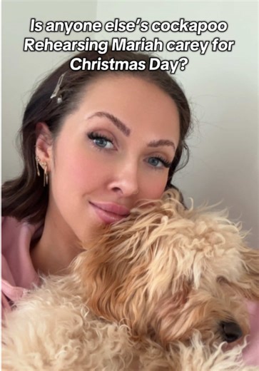 He does this until he gets his morning walk 🤣 no such thing as a lie in with this little man @mr.milo.cd #cockapoolove #cockapoo #puppy #dog #dogtok