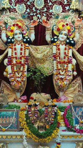 Today's (18-07-2026) Radha Shyamsundar, Krishna Balaram, Gaur Nitai Darshan
