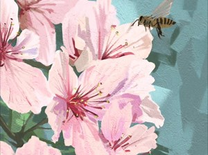 【procreate】花卉创作