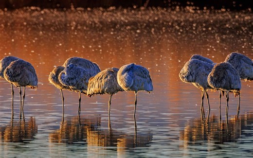 千万不要再用 ssmtp 了，用 msmtp 吧