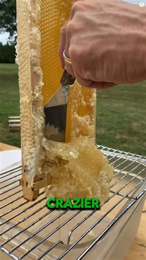 Top 7 Amazing Food Facts 🍔🍟 | Food Facts In English | #food #facts #usa