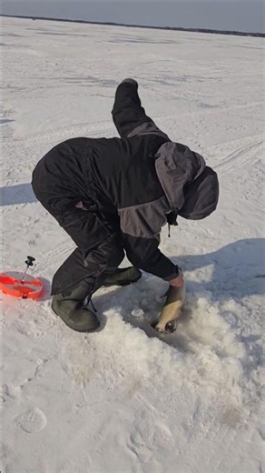 Catching catfish while Ice Fishing - Petenwell Lake