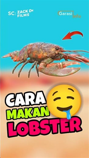 The right way to eat lobster 🤤 #shorts