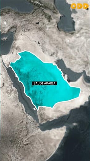 Game of Oil | OPEC Countries | Saudi arabia oil