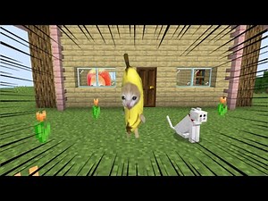 バナナ猫がマイクラにやってきた！【総集編part2】