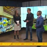 NASCAR champion Tony Stewart selling $30 million Indiana home, take a look inside