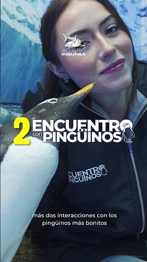 🐧 The best plan for 2 in Mexico City | Penguin Combo at Acuario Inbursa