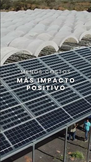 Paneles Solares en Invernadero