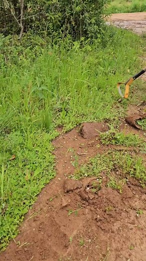 Part 01 #GrassCleaningTool #OutdoorCleaning #GardenTools #LawnCare #YardMaintenance | Loc Waxi