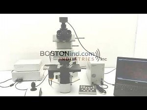 Olympus BX61 Upright Fluorescence Metal Halide Motorized XY Microscope [BOSTONIND] - 50243