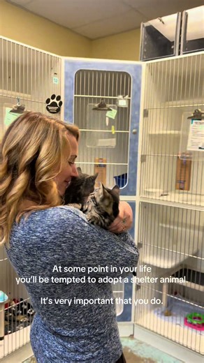 Best Decision You'll Make: Adopt a Pet Today