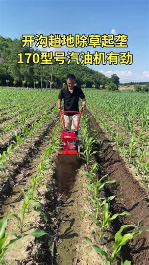 Amazing farmers 🔗🔃✅ #fyp #loveyou #fypchallenge #foryou #fypシ゚viralシ