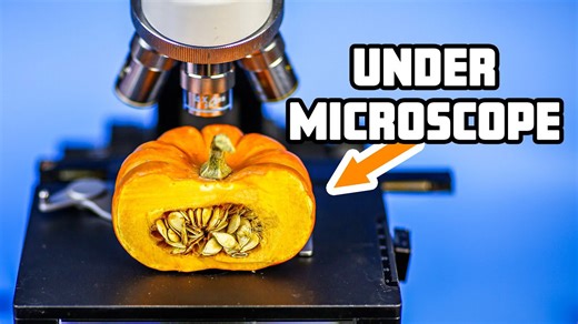 Exploring pumpkin secrets: Stunning microscopic views at high magnification