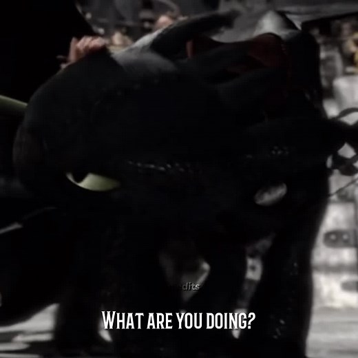 Toothless vs. Hookfang: Epic Battle in How to Train Your Dragon