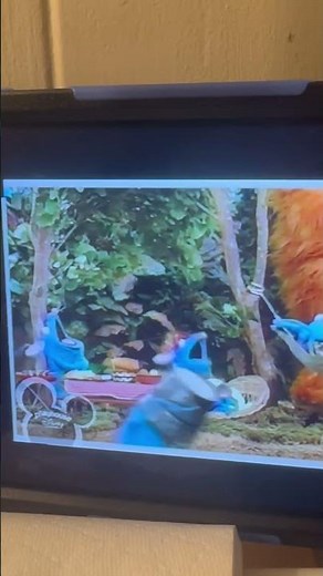 Tutter mouse 🐁 picture