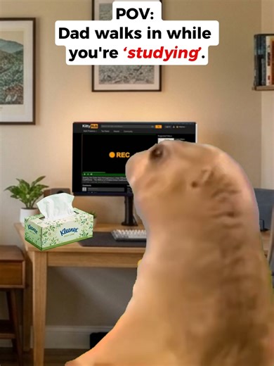 POV: Dad walks in while you're 'studying' #relatable #catmemes #relationship
