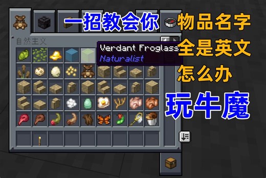 看不了英文，一招教你汉化整合包