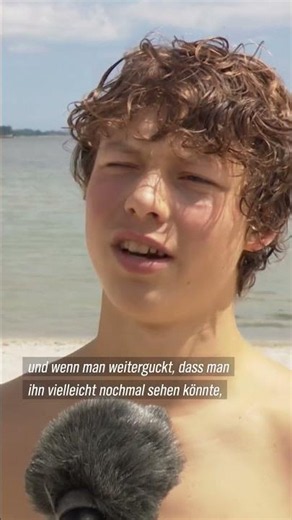 🐬 Seltener Gast an der Ostsee: Spektakuläre Delfin-Sichtung in Eckernförde #ndrinfo #ostsee #dolphin