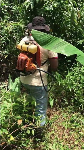 Homemade Brush Cutter | Easy DIY Grass Cutting Machine 🌿✨