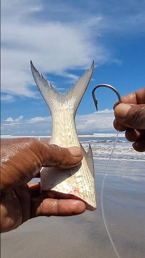 the most effective fishing bait