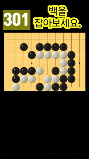 Baduk/Life and Death/Beginner Problems