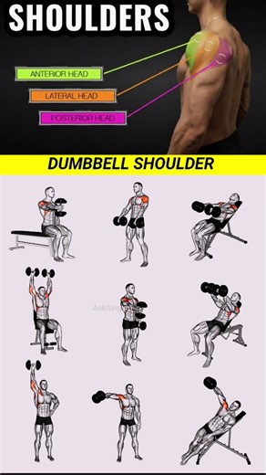 9 Best Dumbbell Shoulder Exercises 💪 | Complete Shoulder Workout at Home