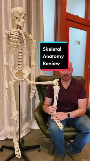 Exploring the Human Body: Dem Bones Song for Kids