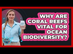 Why Are Coral Reefs Vital For Ocean Biodiversity?