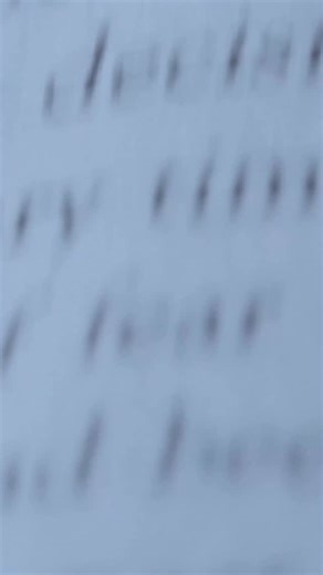 Solving the world’s toughest problems requires Special Operations Forces to have placement, partnerships and access around the globe. It also requires thousands of skilled enablers from across the enterprise to get them there. This year’s USASOC AG of the Year competition is underway, testing the speed, strength and smarts of those who never fail to support the Army’s finest. We are #withoutequal | U.S. Army Special Operations Command