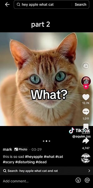 #hey #apple | hey apple