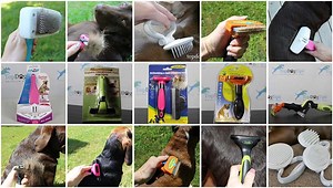 Top 10 Best Deshedding Tools for Dogs